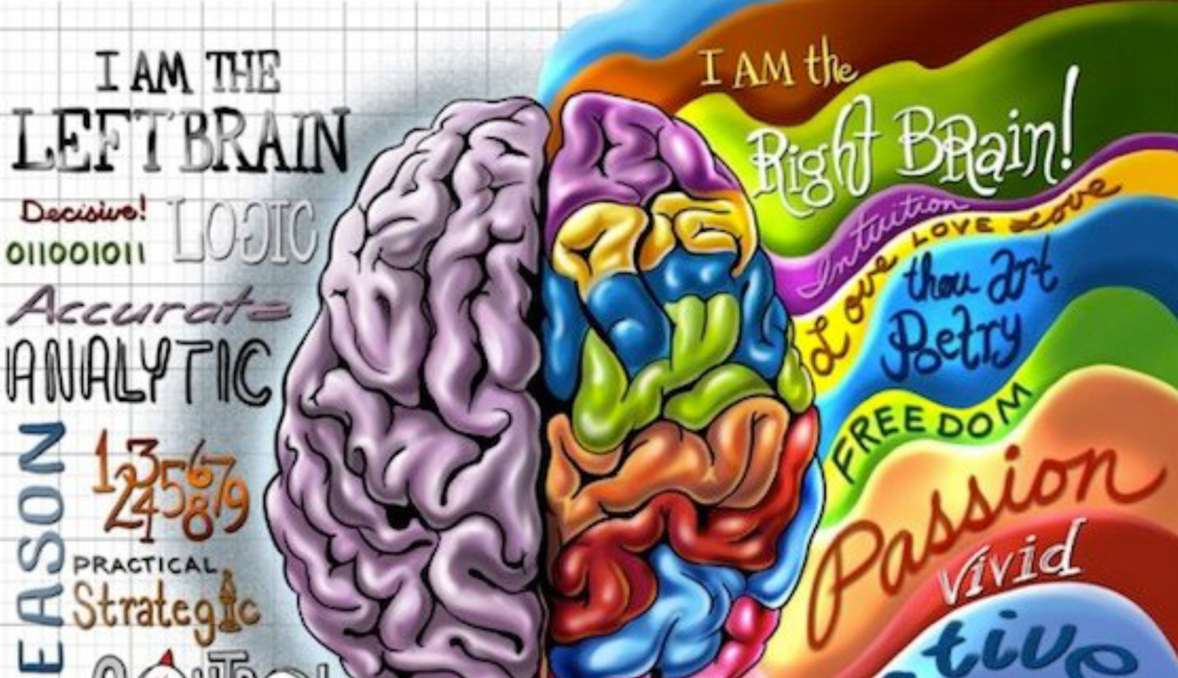 Quelle est ta préférence cérébrale ?
